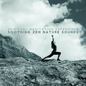 Spiritual Meditation Experience - Soothing Zen Nature Sounds: New Age Meditation, Practice Mindfulness, Clear-Minded by Contemporary New Age Maker