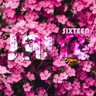 Jaiye by Sixteen