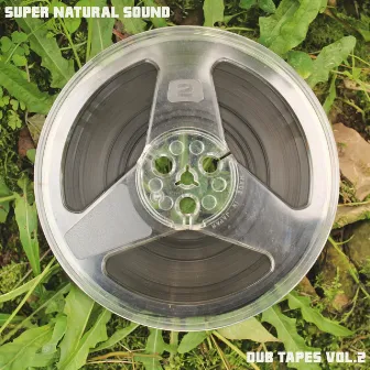 Peaceful Meditation (Give Dreadlocks A Chance) by Super Natural Sound