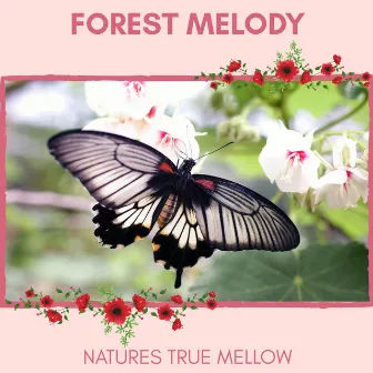 Forest Melody - Natures True Mellow by Nature Radiance Project