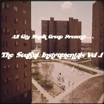 Soulful Instrumentals Vol. 1 by All City Muzik Group