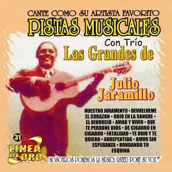 Pistas Musicales Con Trio las Grandes de Julio Jaramillo by m.m.p