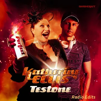 Perfect (The Radio Edits) by Testone