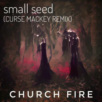 Small Seed (Curse Mackey Remix) by Curse Mackey