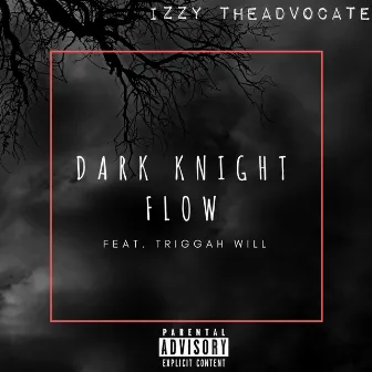 Dark Knight Flow by Izzy TheAdvocate