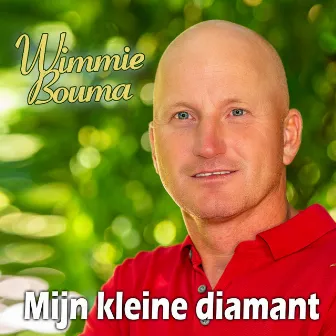 Mijn kleine diamant by Wimmie Bouma