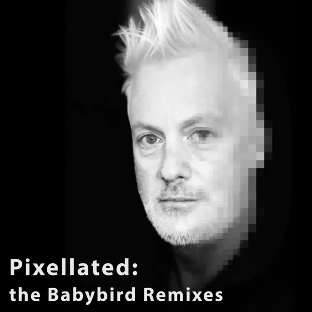 Pixellated: the Babybird Remixes