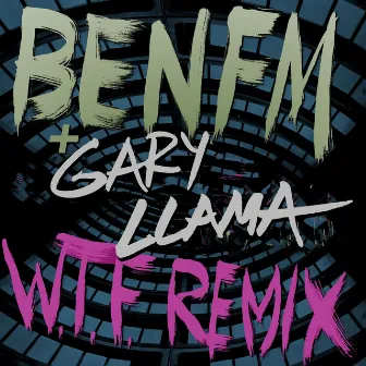 W.T.F. (Remix) by Ben FM