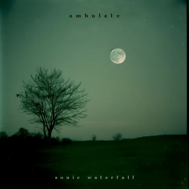 Ambulate