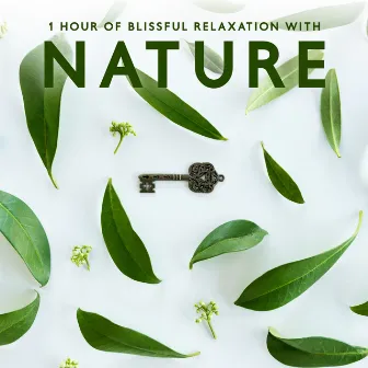 1 Hour of Blissful Relaxation with Nature by Oasis of Relaxation