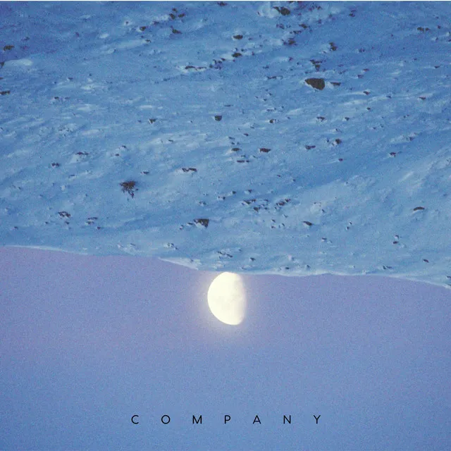 Company