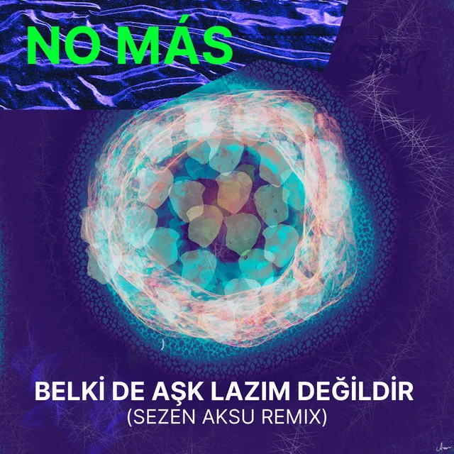 Belki De Aşk Lazım Değildir - Remix (Sezen Aksu)