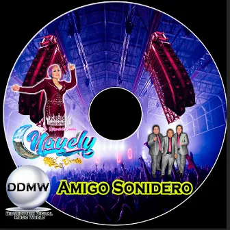 Amigo Sonidero by Nayeli Miel Y Cumbia