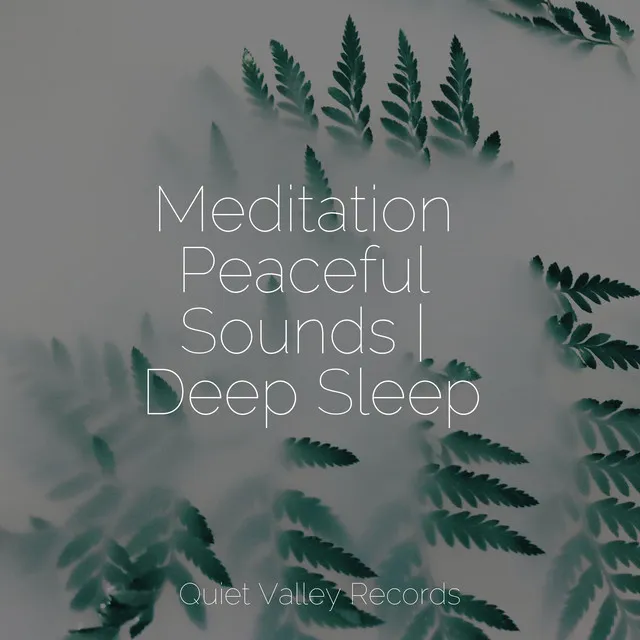 Meditating Music