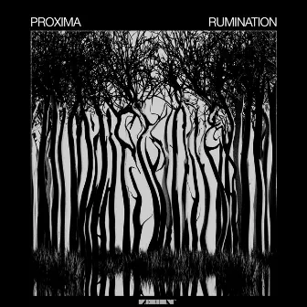 Rumination by Proxima