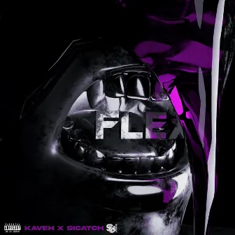 FLEX by Sicatch