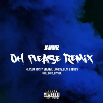 Oh Please Remix by Jammz