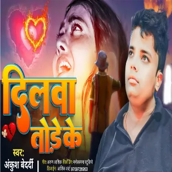 Dilwa Tore Ke by Unknown Artist