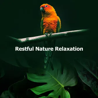 Restful Nature Relaxation by Portrait of Nature