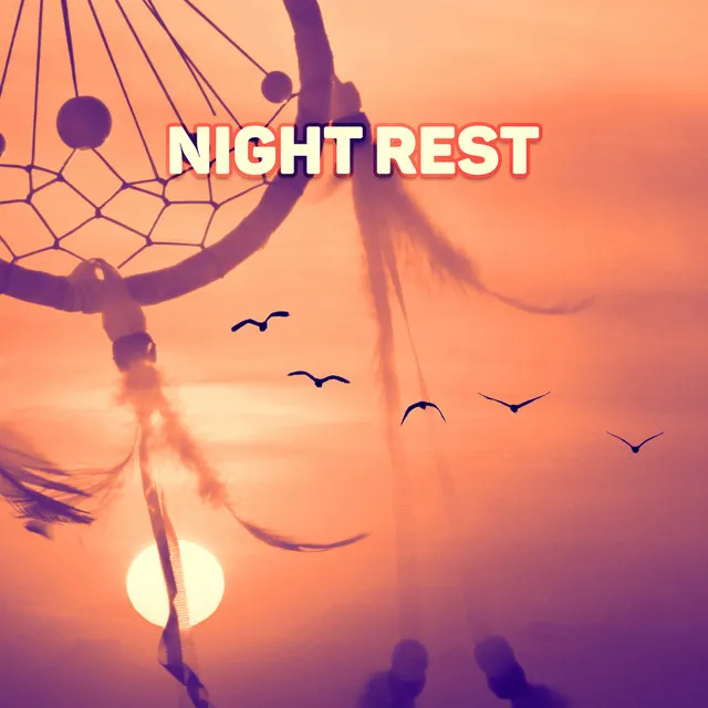 Night Rest - Best Deep Slee for Baby, White Noises and Nature Sounds to Relax and Fall Asleep, Healing Sleep Songs