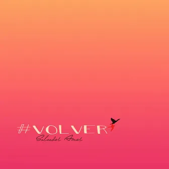 Volver by Salvador Amor