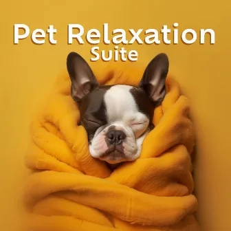 Pet Relaxation Suite: Spa Time for Dogs - Pet Salon Music, Stress Relief Therapy, Anxiety Calming, Sleep Support by Dog Sleep Dream