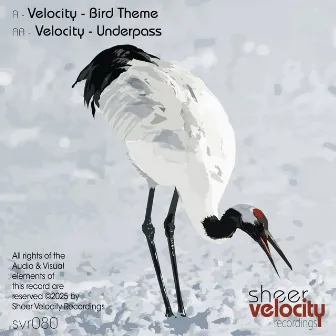 Bird Theme / Underpass by Velocity