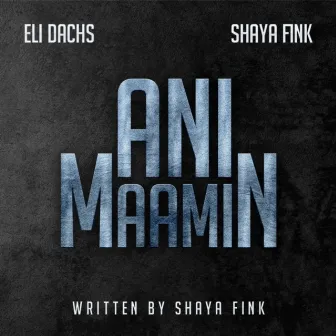 Ani Maamin by Eli Dachs