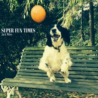 Super Fun Times by Jack Miles