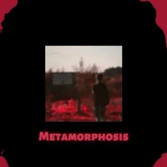 Metamorphosis by Pain Dealer