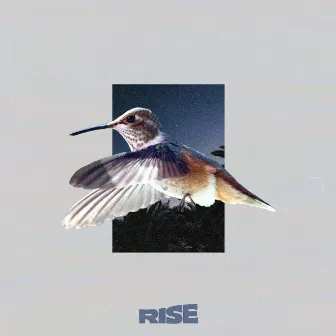 Rise by Stewart Garry