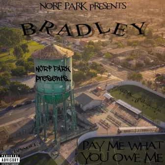 Pay Me What You Owe Me by Bradley