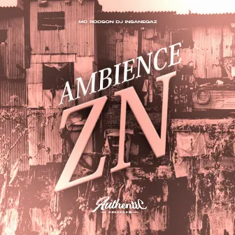 Ambience Zn by Dj Insanegaz