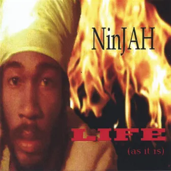 Life As It Is by Ninjah