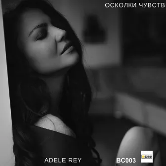 Осколки чувств by Adele Rey