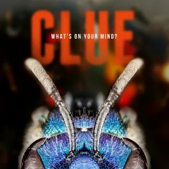 What's on Your Mind? by Clue