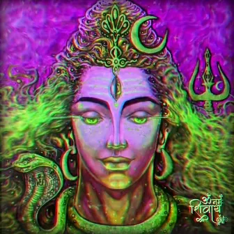 Om Namah Shivaya by Freshlee