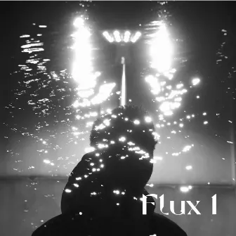 Flux 1 by Lecouv