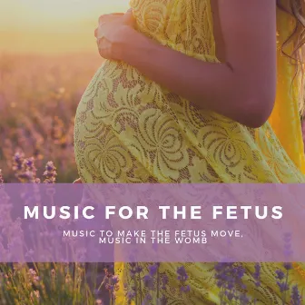 Music for the Fetus – Music to Make the Fetus Move, Music in the Womb by Baby Monitor