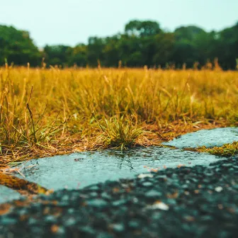 Summer Rain by gsky.