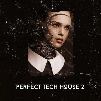 Perfect Tech House, Vol. 2 by Sound Glasses