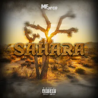 SAHARA by MForce