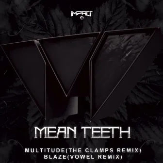 Multitude / Blaze (Remixes) by The Clamps