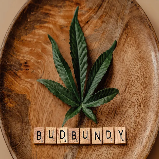 Bud Bundy