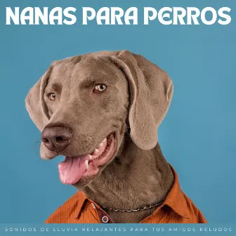 Nanas Para Perros: Sonidos De Lluvia Relajantes Para Tus Amigos Peludos by Jukebox de música para perros