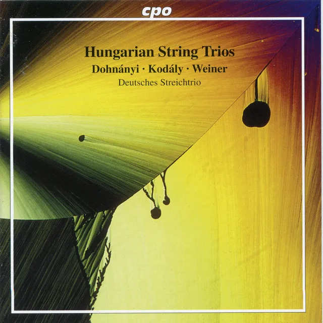 String Trio in G Minor, Op. 6: I. Allegro con brio