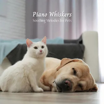 Piano Whiskers: Soothing Melodies for Pets by The Modern Jazz BGM Group