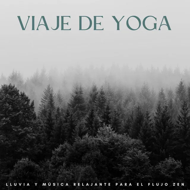 Viaje De Yoga: Lluvia Y Música Relajante Para El Flujo Zen