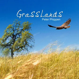 Grasslands by Peter Phippen