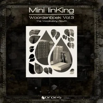 Woordenboek, Vol. 3 'The Vocabulary Album' by Mini Linking